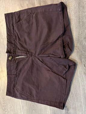 American Eagle Outfitters Dark Brown Stretch Shorts